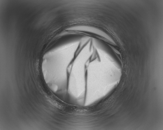 X0000082960066200702222351