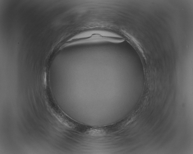 X0000082960067200702222351