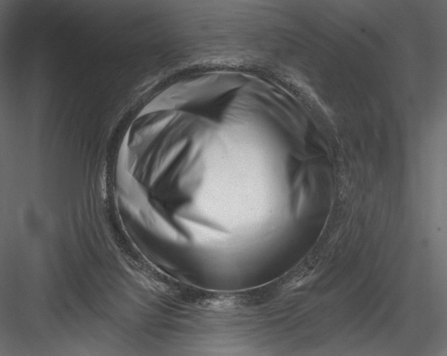 X0000082960068200702222351