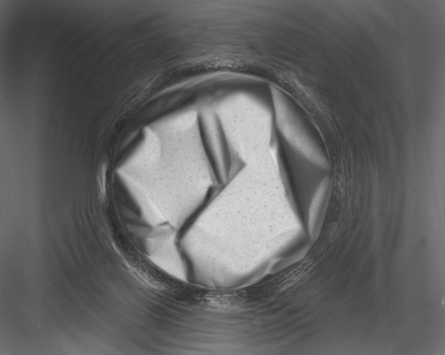 X0000082960070200702222351