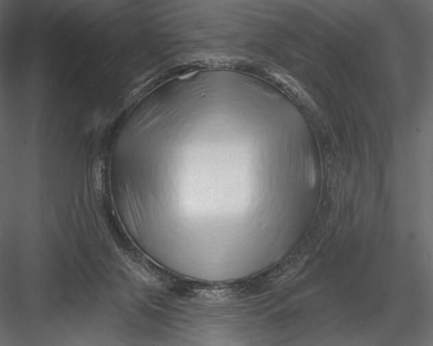 X0000082960071200702222351