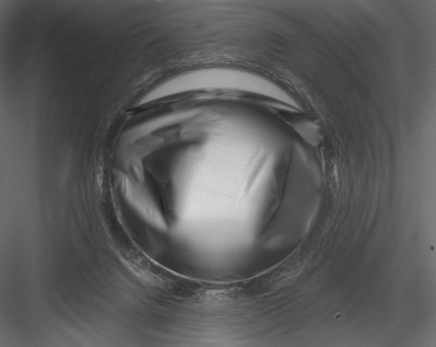 X0000082960072200702222351