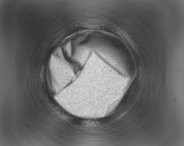 X0000082960073200702222351