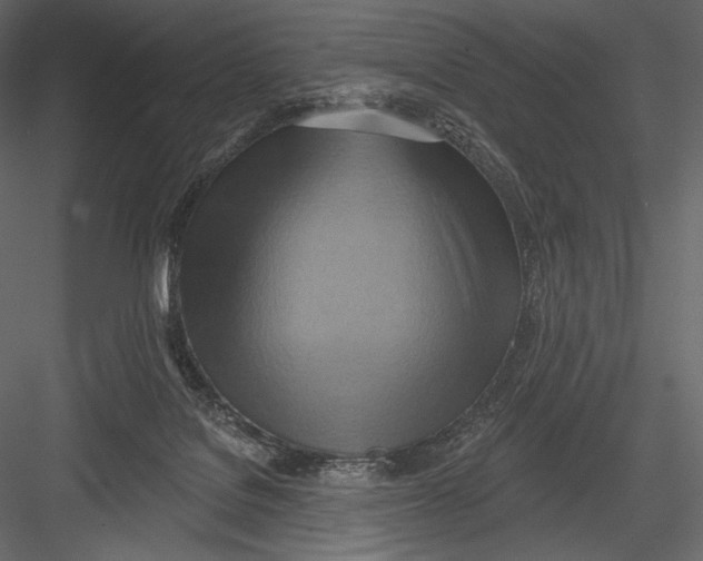 X0000082960076200702222351