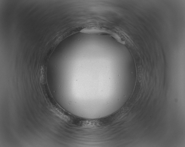 X0000082960077200702222351