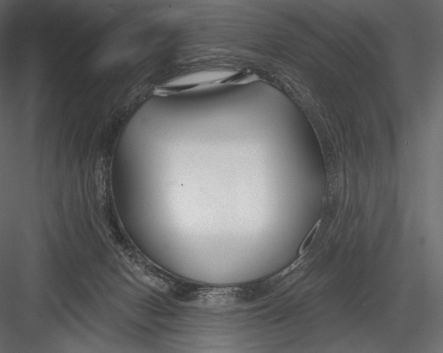 X0000082960078200702222351