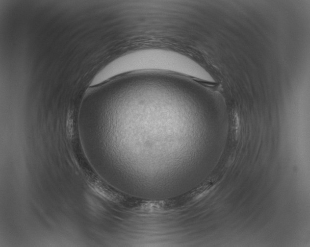 X0000082960080200702222351