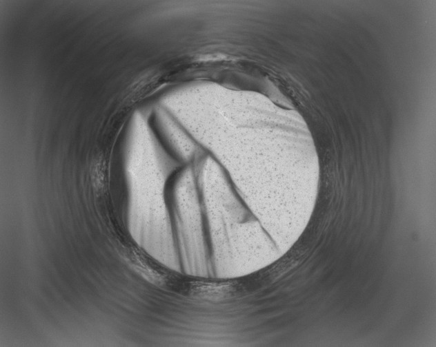 X0000082960081200702222351