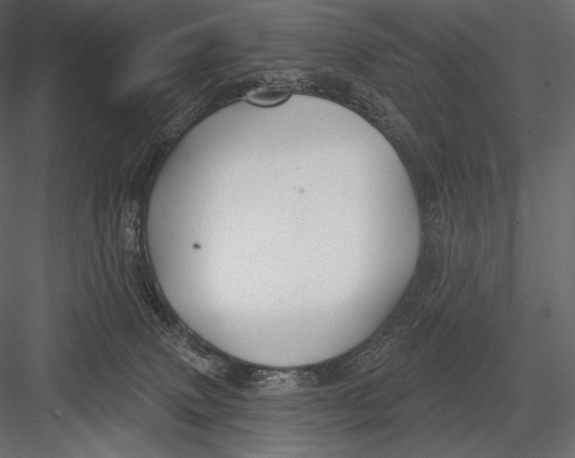 X0000082960083200702222351