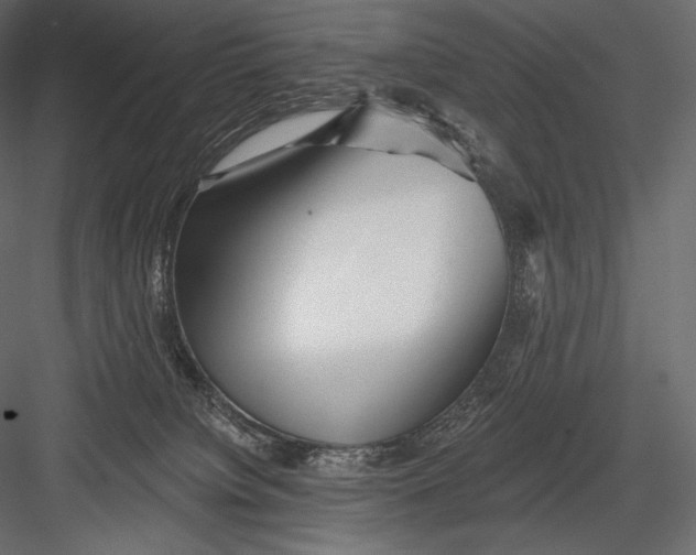 X0000082960084200702222351