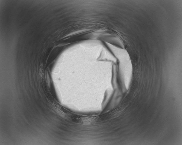 X0000082960085200702222351