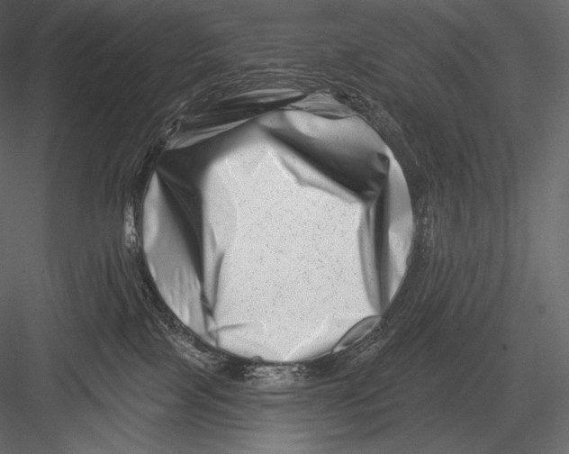 X0000082960089200702222351