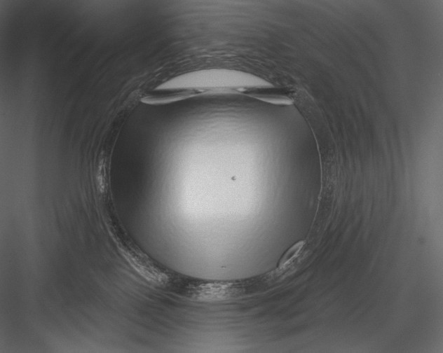 X0000082960090200702222351