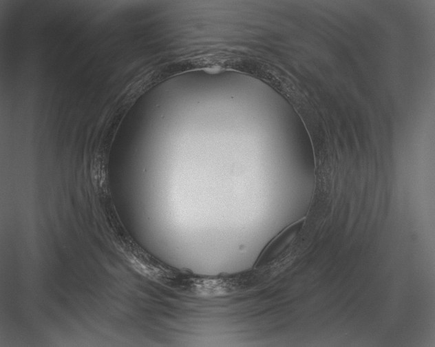 X0000082960091200702222351