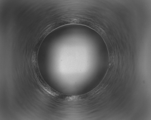 X0000082960092200702222351