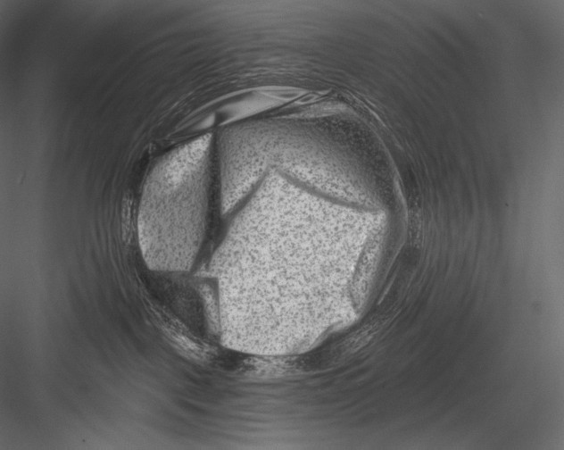 X0000082960093200702222351