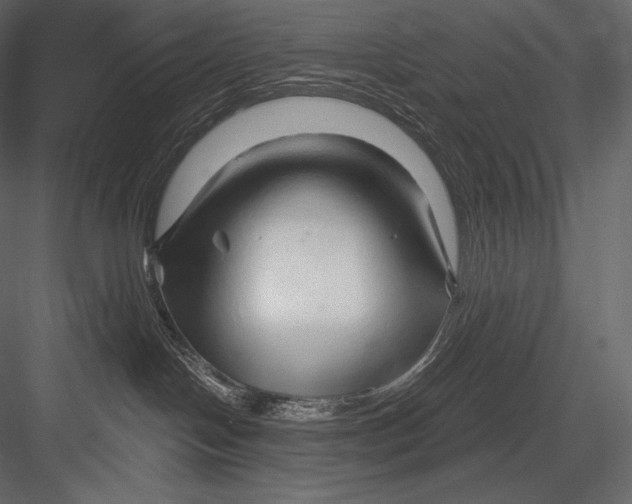 X0000082960094200702222351