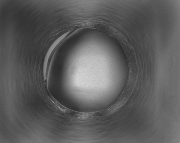 X0000082960096200702222351