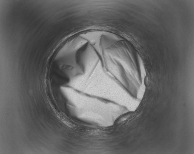 X0000082960098200702222350