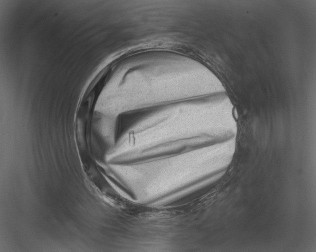 X0000082960100200702222350