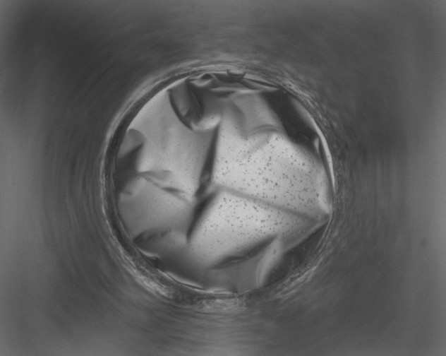 X0000082960102200702222350