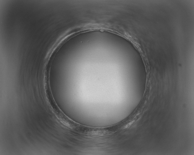 X0000082960103200702222350