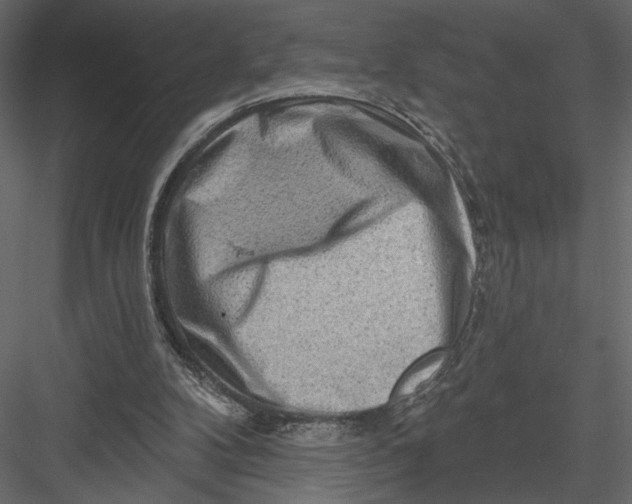 X0000082960104200702222350