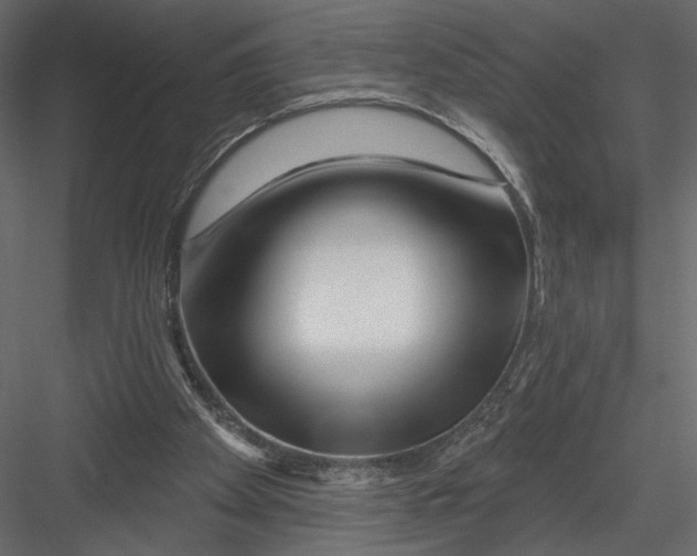 X0000082960105200702222350