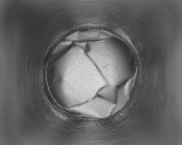 X0000082960106200702222350