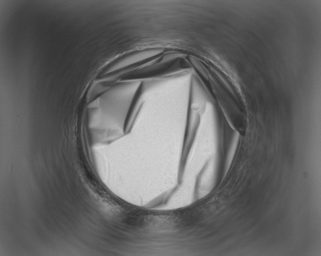 X0000082960107200702222350