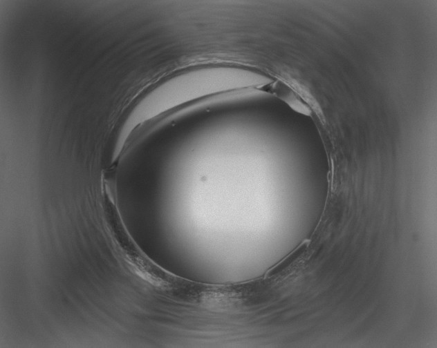 X0000082960109200702222350