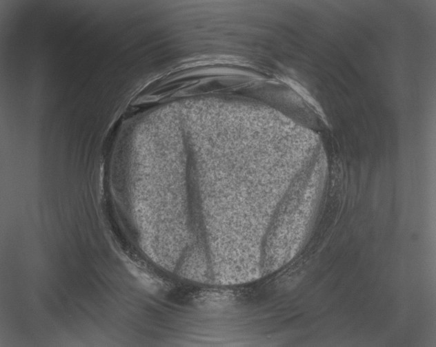 X0000082960110200702222350