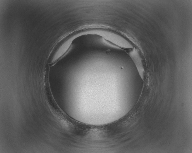 X0000082960111200702222350