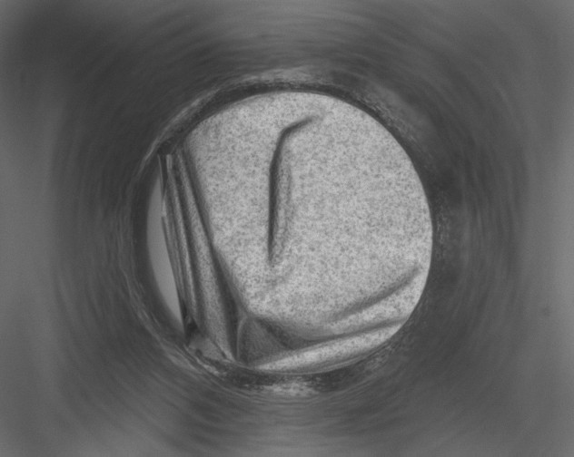 X0000082960112200702222350