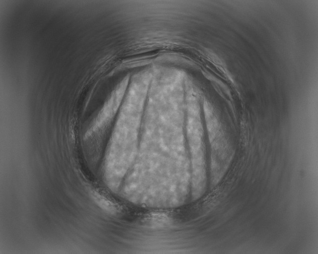 X0000082960114200702222350