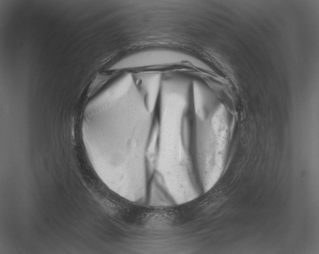 X0000082960115200702222350