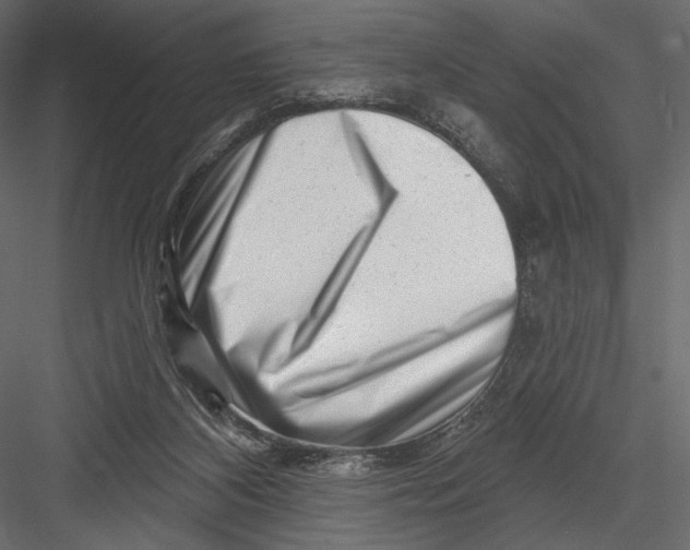 X0000082960116200702222350