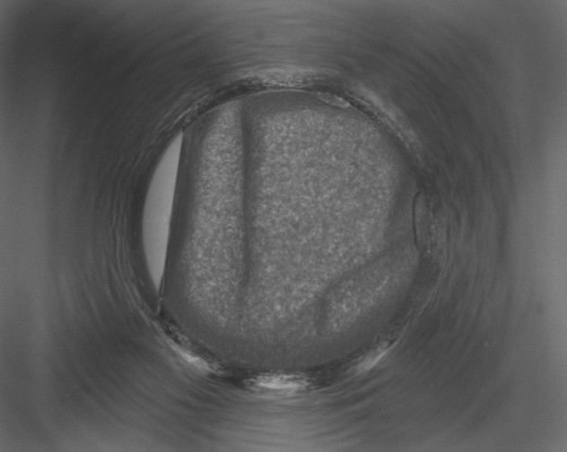 X0000082960117200702222350