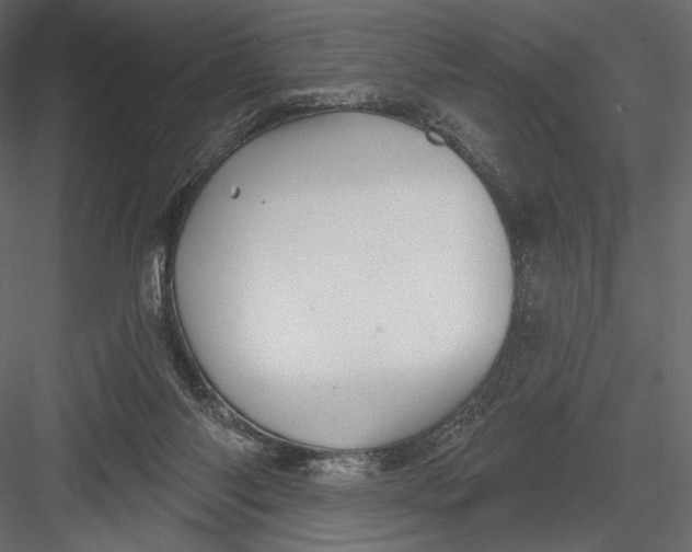 X0000082960118200702222350