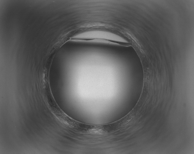 X0000082960119200702222350