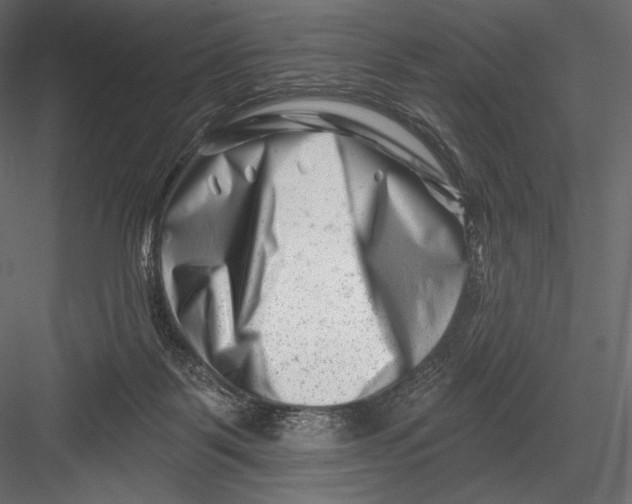 X0000082960123200702222350