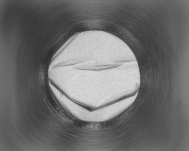 X0000082960124200702222350