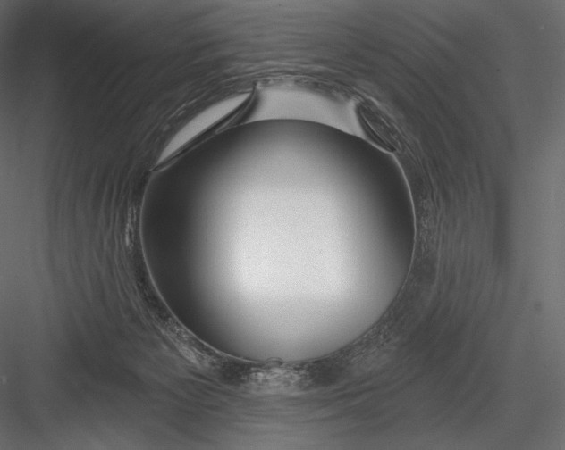 X0000082960125200702222350