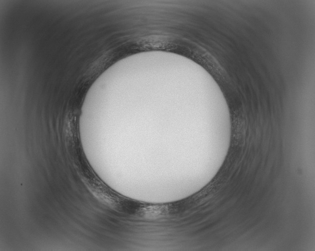 X0000082960126200702222350