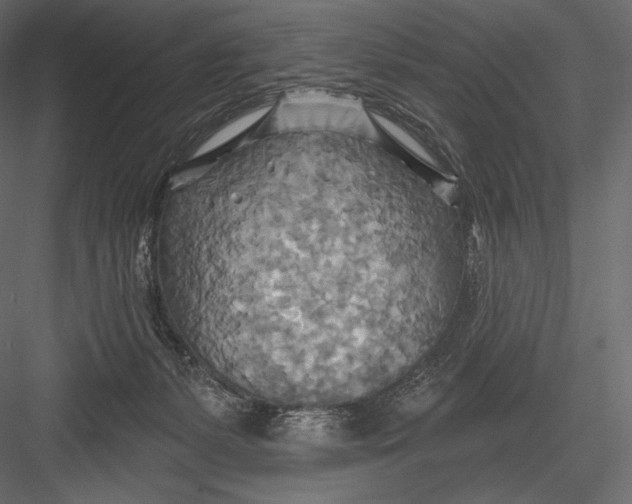 X0000082960127200702222350