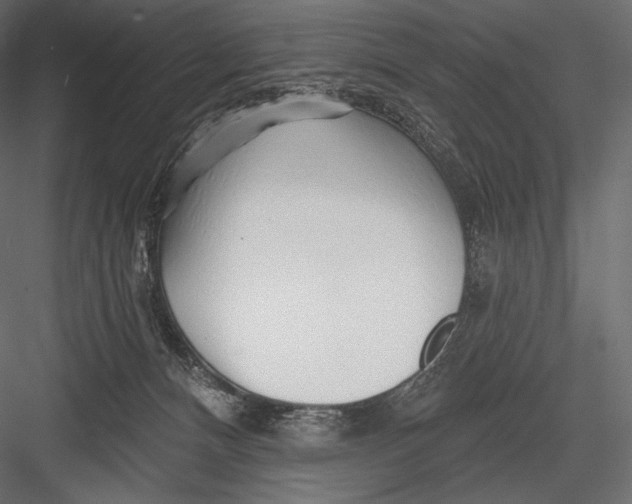 X0000082960128200702222350