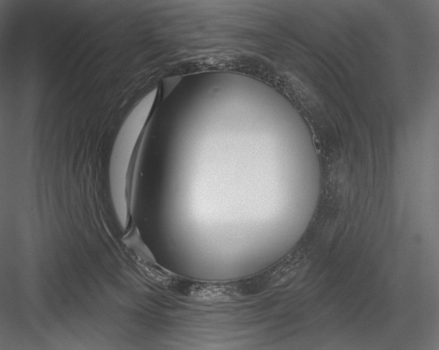 X0000082960129200702222350