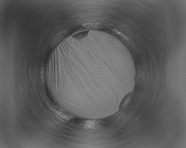 X0000082960130200702222350