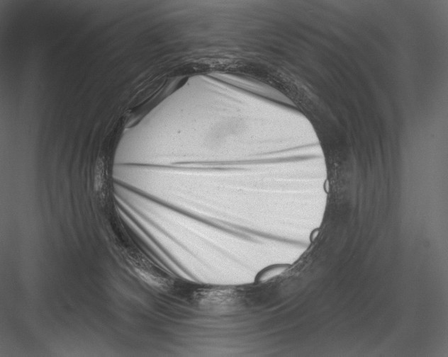 X0000082960132200702222350