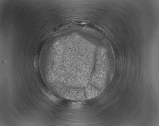 X0000082960134200702222350